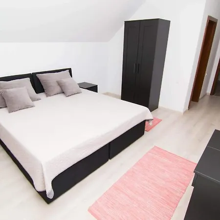 Continental Boutique Panzió Sfântu-Gheorghe